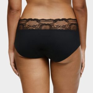Chantelle Period Lace Hipster Brief back